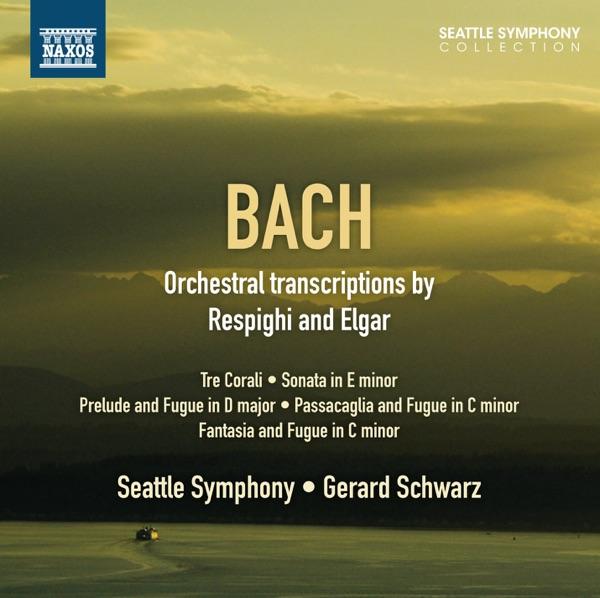 Violin Sonata in E Minor, P. 85 (After J. S. Bach's, BWV 1023): II. Adagio, ma non tanto