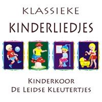 Twee Emmertjes Water Halen