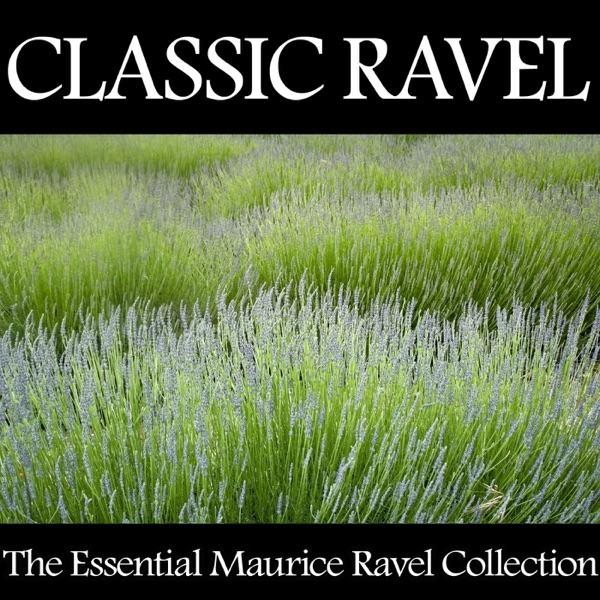 Trio for Piano, Violin and Violoncello In a Minor - Passacaille: Très Large