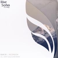 Ascension (Rozza's Spring Garden Remix)