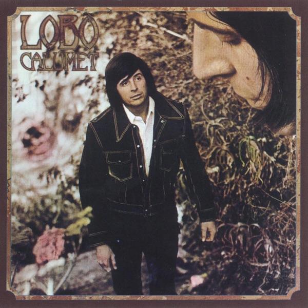 Don't Expect Me to Be Your Friend (Single Version)