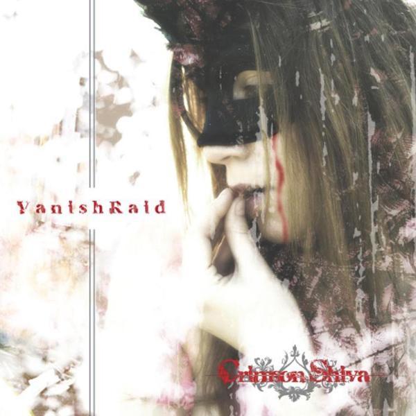 VanishRaid