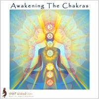 Awakening the Chakras 7: Instrumental
