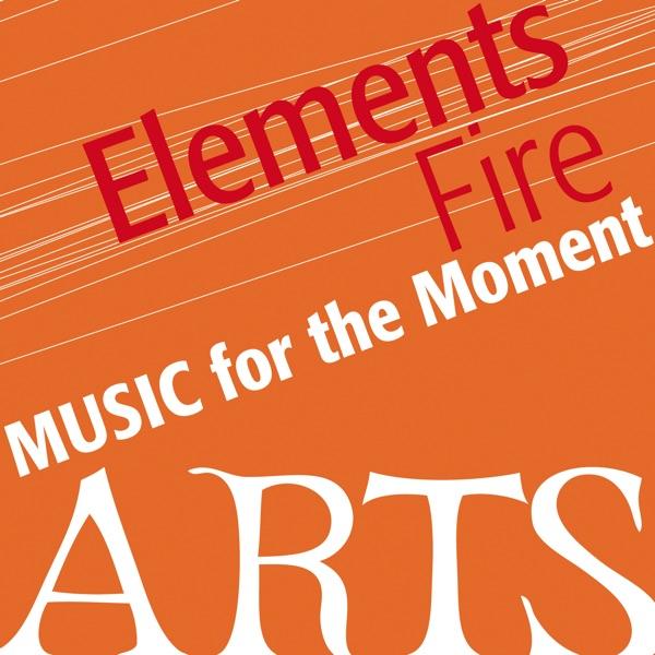 Concerto N. 8 Mi Minore For Solo Violin, Allegro