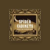 SPIDER CABINETS