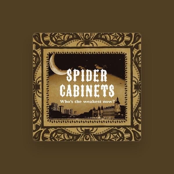SPIDER CABINETS