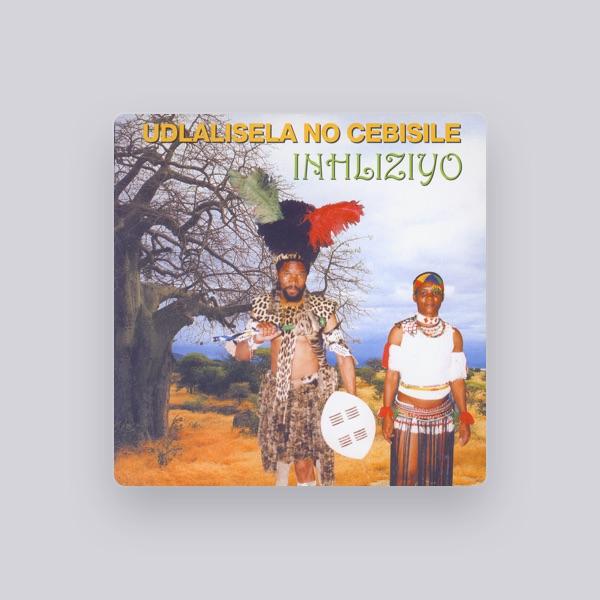 Inhliziyo