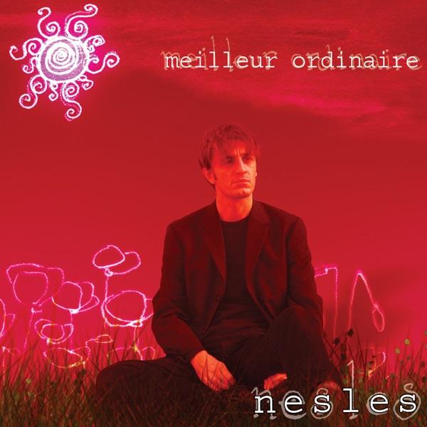 Un meilleur ordinaire (Radio Edit)