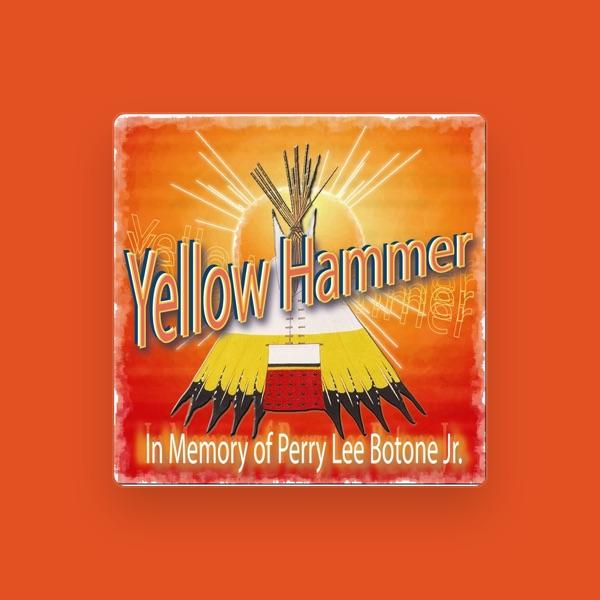 Yellow Hammer