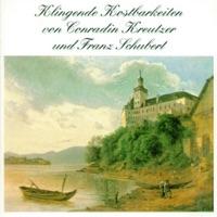 Sonate für Violoncello und Klavier in A Minor, D. 821: II. Adagio - Allegretto