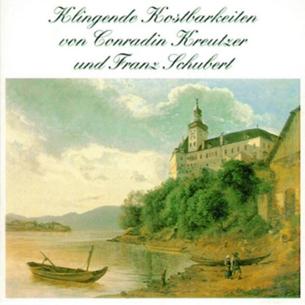 Sonate für Violoncello und Klavier in A Minor, D. 821: II. Adagio - Allegretto