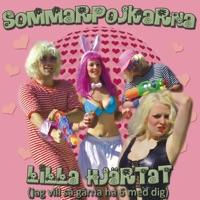 Lilla Hjärtat (Jag vill så gärna ha 6 med dig) [Hard Act 2 Follow Club Mix]