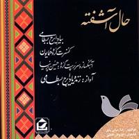Hal-e-Ashofteh (Live)
