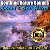 Ocean and Sea Waves