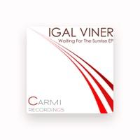 Igal Viner