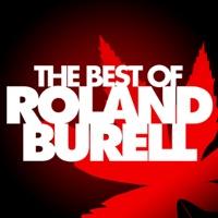 Stormy Night