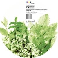 Cocosound