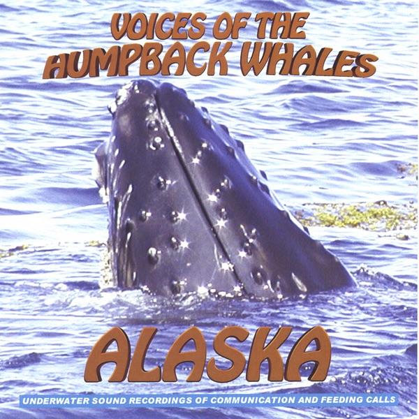 Resident Orcas Sonar