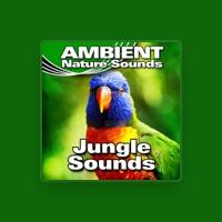 Ambient Nature Sounds