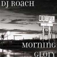 Morning Glory