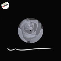 Chromeflower