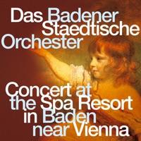 Johann Strauss: Nacht In Venedig- Ouverture