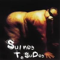 Sópa de Calango