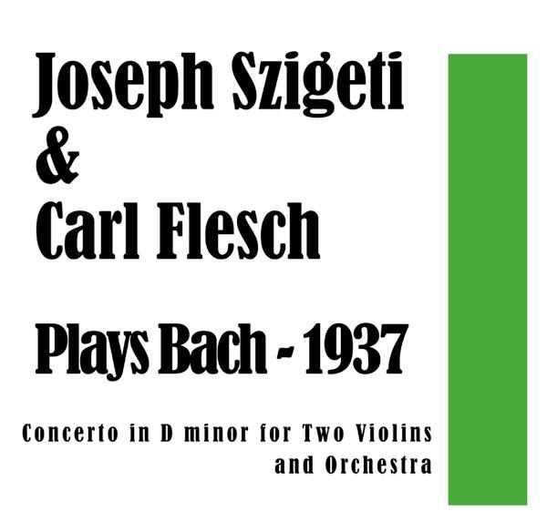 Concerto in D minor for Two Violins and Orchestra: I Vivace