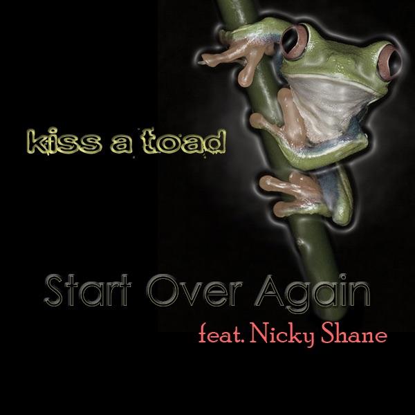 Start Over Again (feat. Nicky Shane)