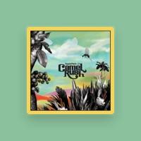 CAMEL RUSH