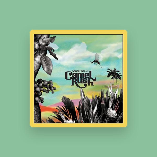CAMEL RUSH