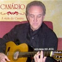 Cavalo Baio