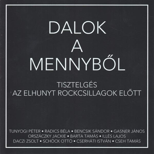 Temesvári Vasárnap
