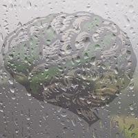 Moist