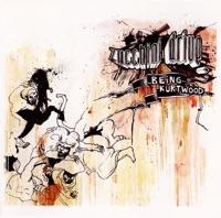Sombre City (feat. Markus Acher)
