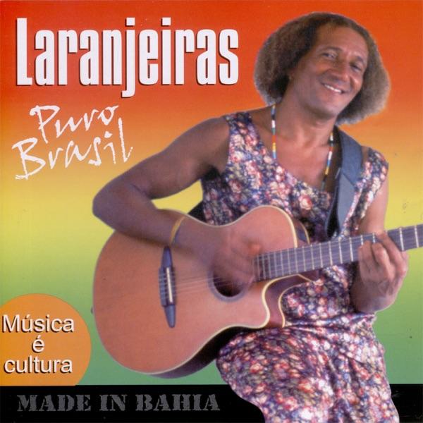 Brasil 500 Anos