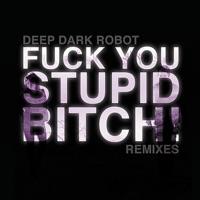 Fuck You, Stupid Bitch (Swing - Brooker T Remix)