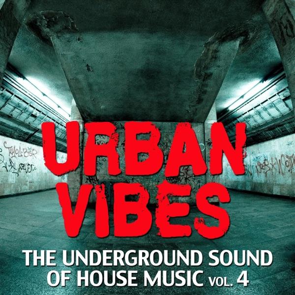 Everyday (feat. Thavy) [Tribal Mix]