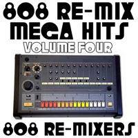 Party Rock Anthem (808 Re-Mix Tribute to LMFAO; Lauren Bennet & GoonRock)