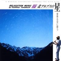 輝く宵の明星