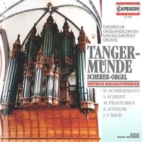 Toccata and Fugue in D minor, BWV 538, "Dorian"