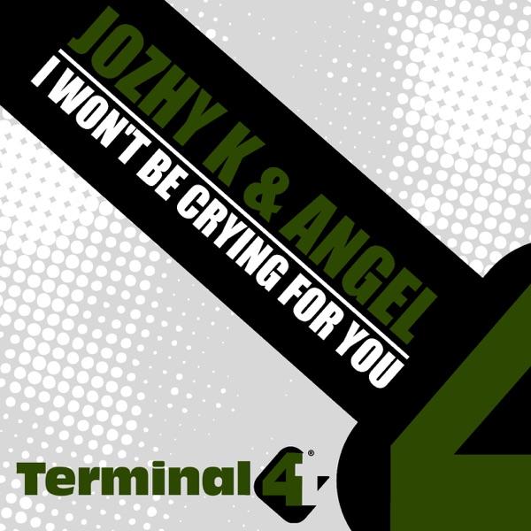 I Won't Be Crying for You (Julian Wess & Tom Clave Remix)