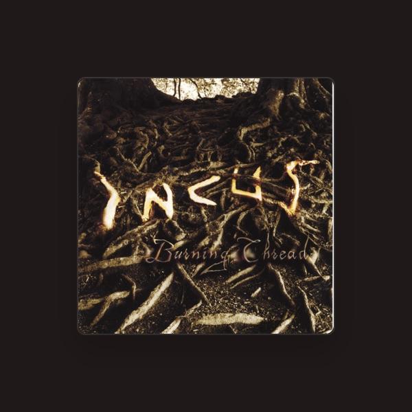 Incus