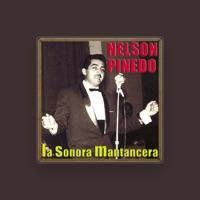 Nelson Pinedo
