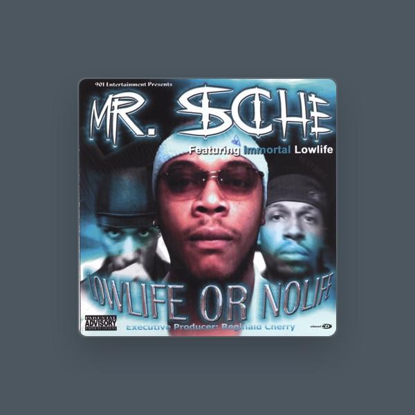 Mr. Sche