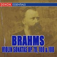 Violin Sonata No. 1, Op. 78: I. Vivace Ma Non Troppo
