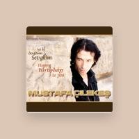 Mustafa Cilekes
