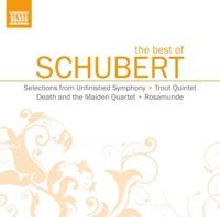 Piano Quintet In a Major, D. 667 "Trout": Theme and Variations