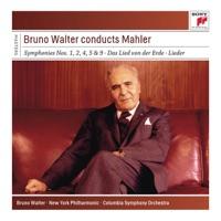 Symphony No. 2 "Resurrection": III. Scherzo. In ruhig fliessender Bewegung