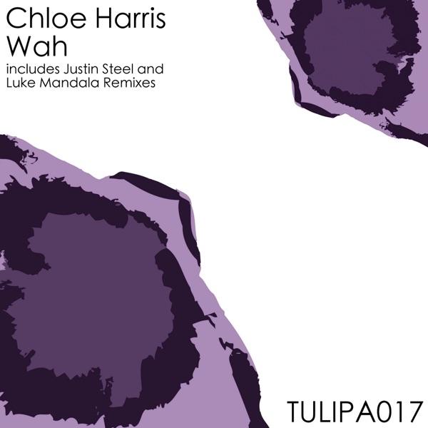 Wah (Luke Mandala Remix)